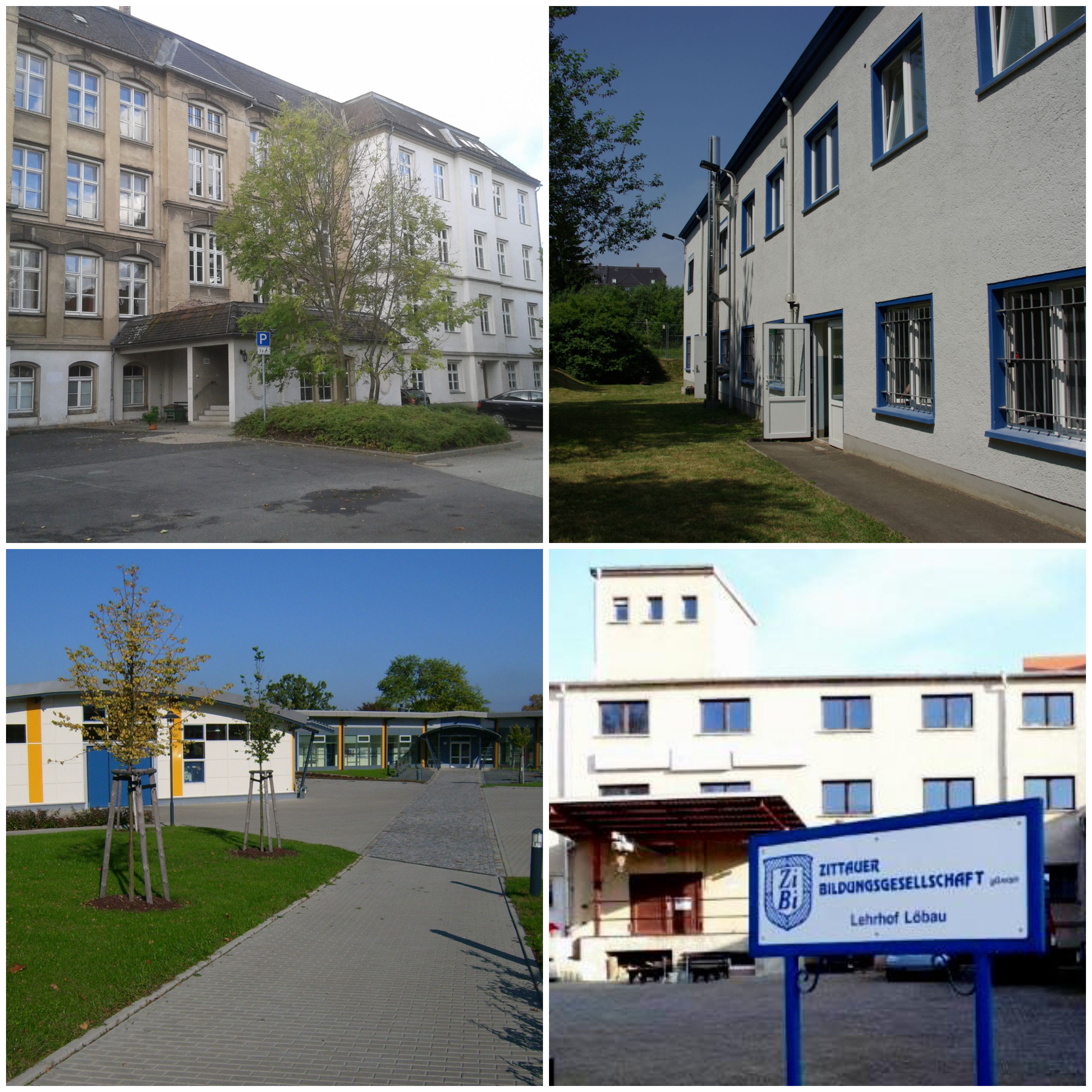Mosaik